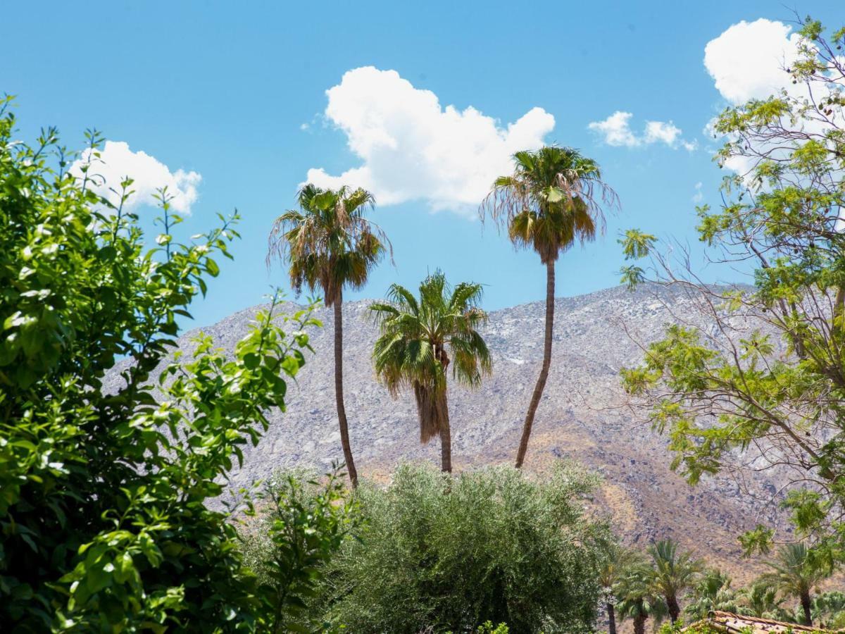 Lions Gate Estate Villa Palm Springs Exterior foto